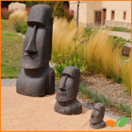 Plantas y bonsáis para regalar con sentido