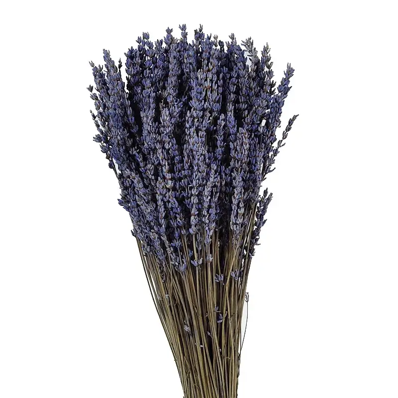 Ramillete-lavanda-preservada-Toque-provenzal