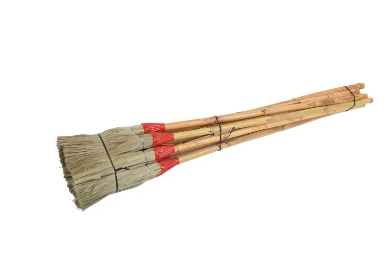 Escobas-jardín-naturales-Robustas,-prácticas-ecológicas