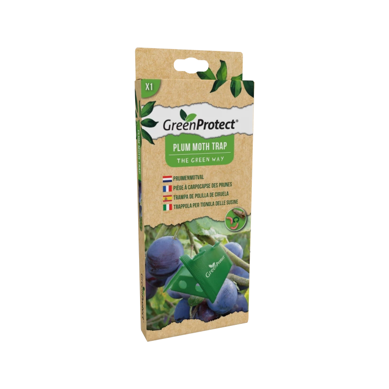 Trampa-polilla-ciruela