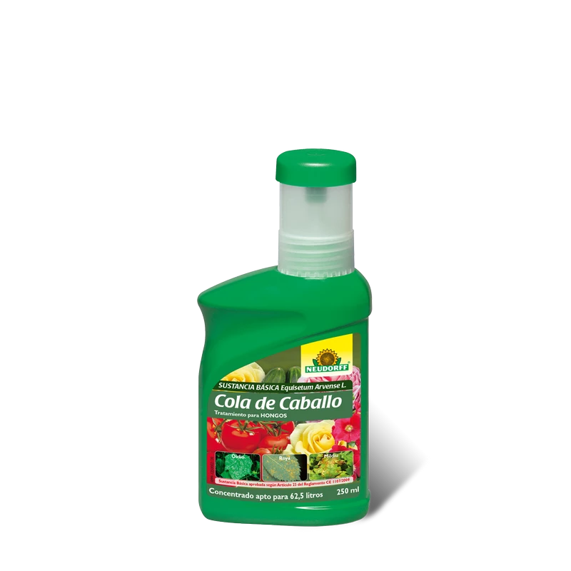 Cola-caballo-tratamiento-ecologico-para-hongos