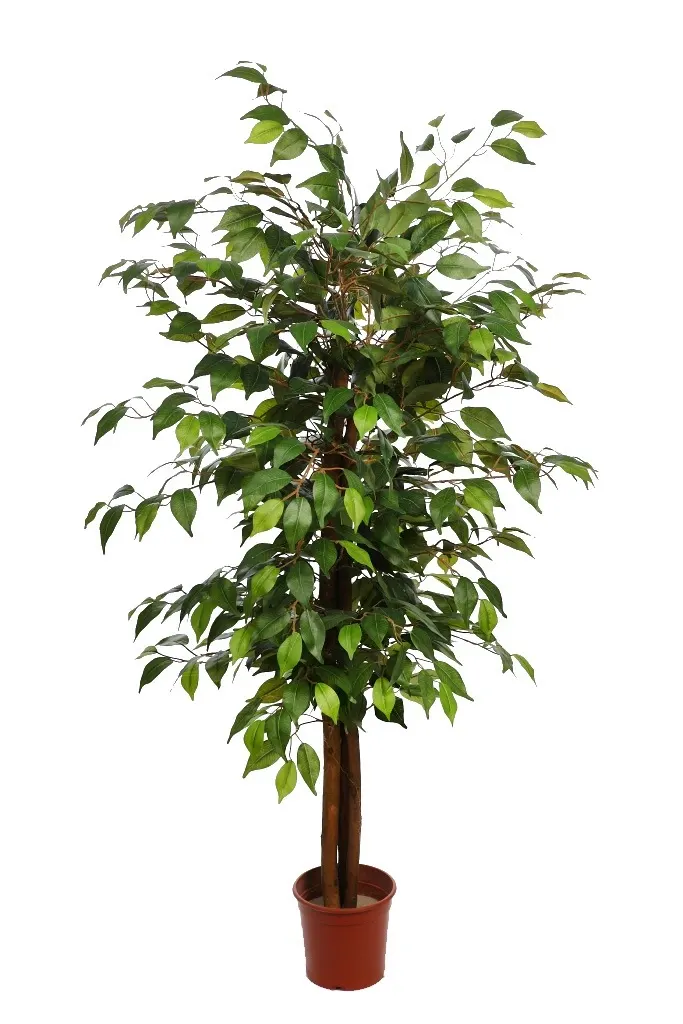 Árbol-ficus-artificial-verde-bicolor