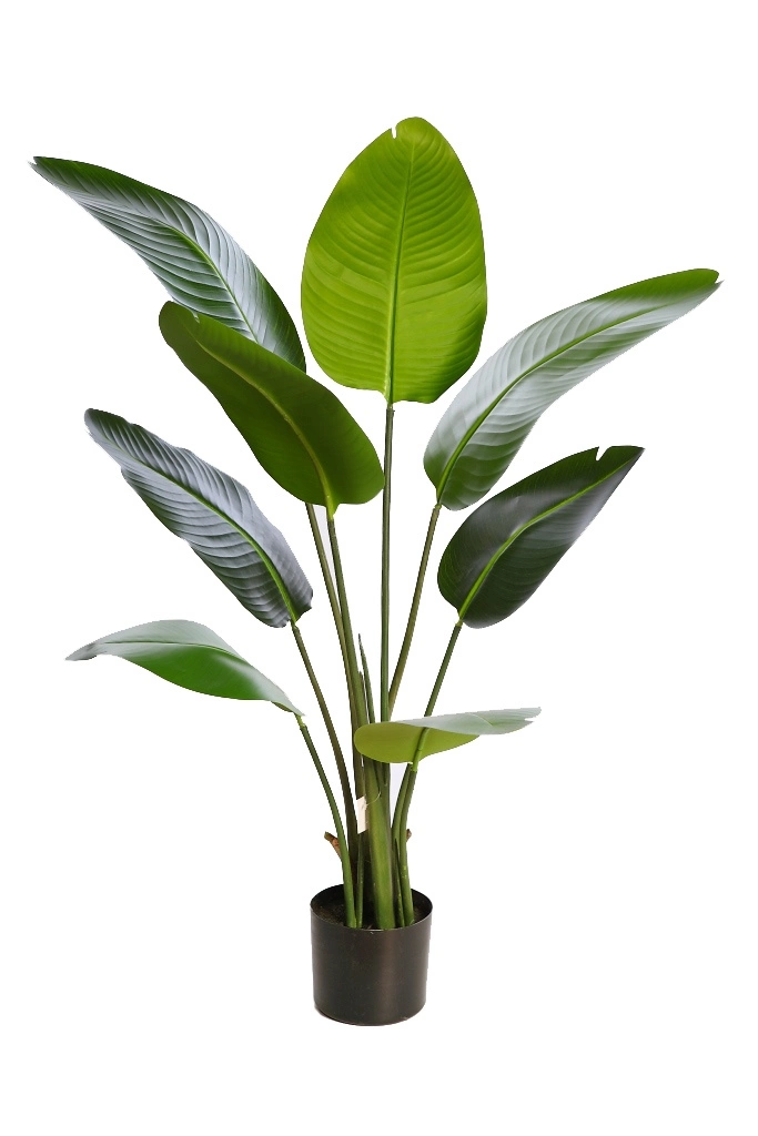 Planta-artificial-Bananera