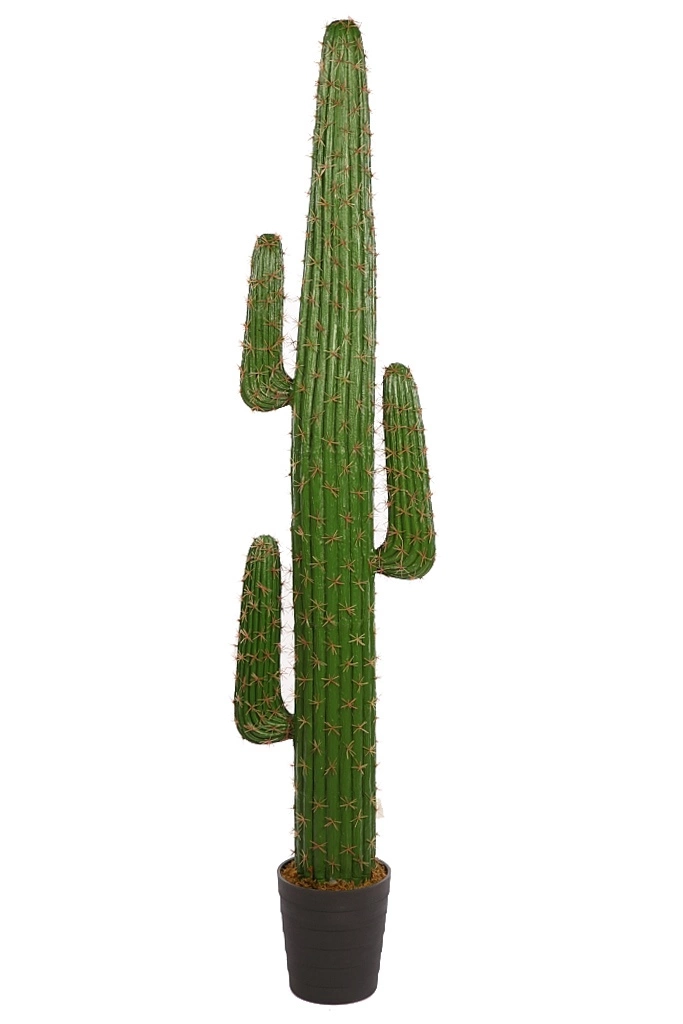 Cactus-saguaro-sahuario-artificial