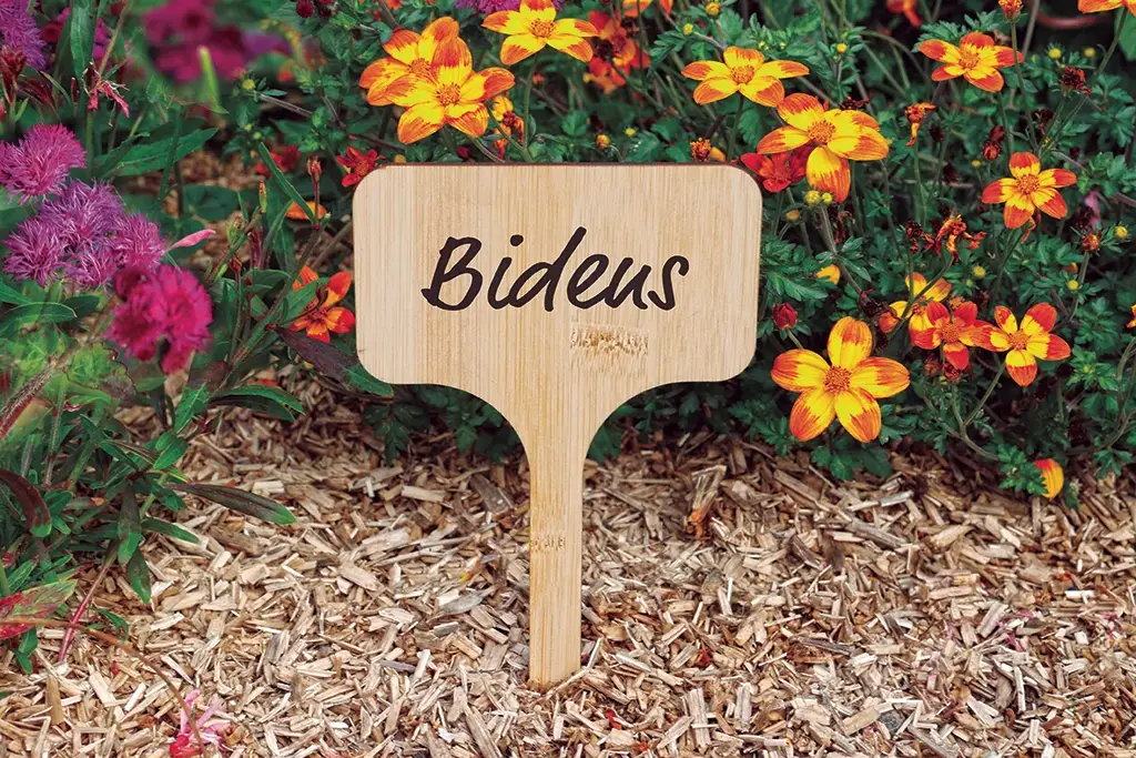 etiquetas-bambu-plantas