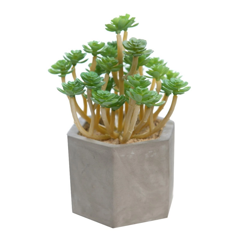 Suculenta-artificial-decorativa-maceta-cemento