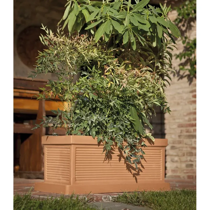 Jardinera-Cassetta-Millerighe