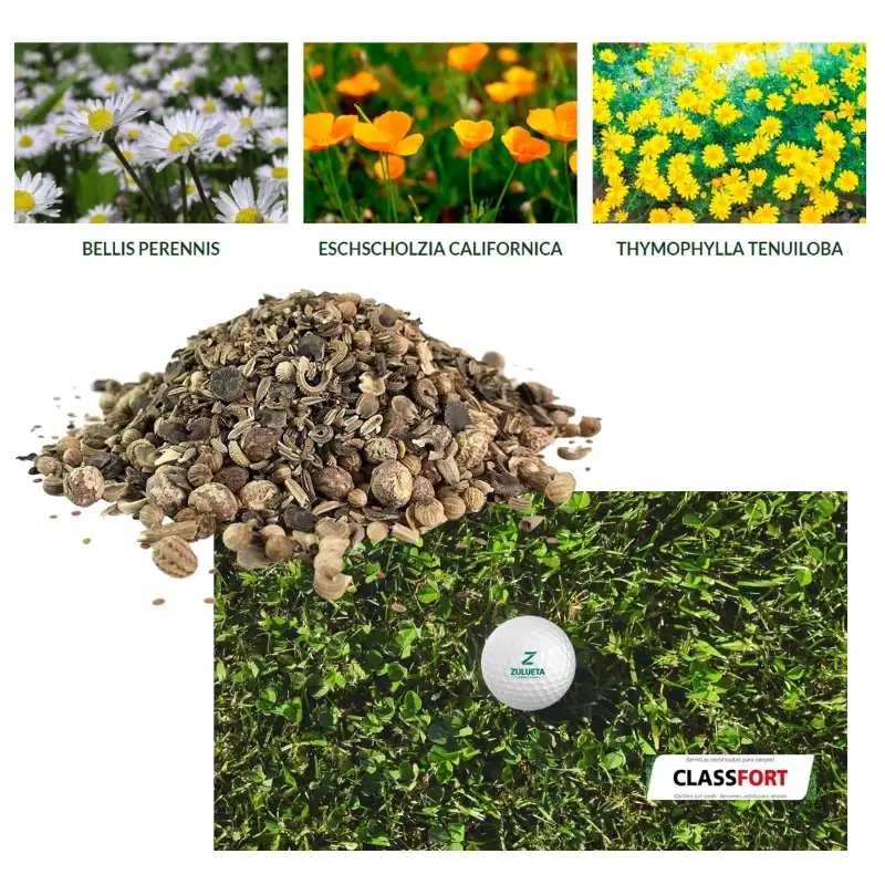 Semillas-para-césped-flores-Classfort