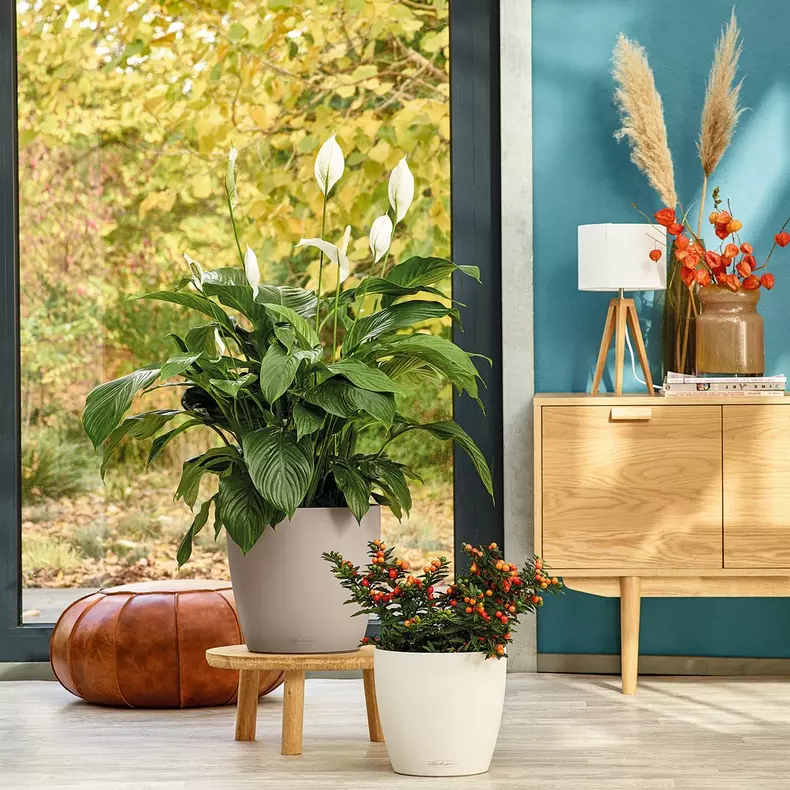 Maceta-Lechuza-autorriego-Classico-color-34,5-32,5