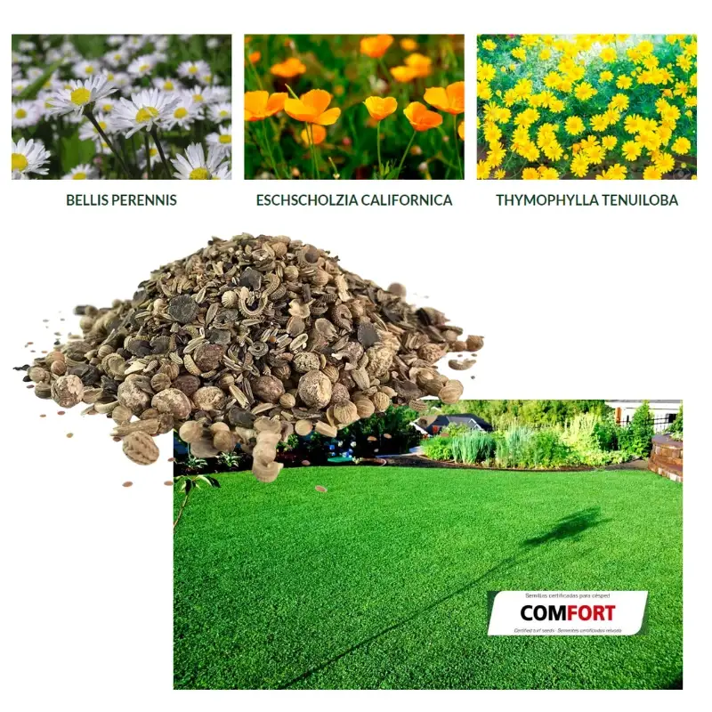Semillas-para-césped-flores-Comfort