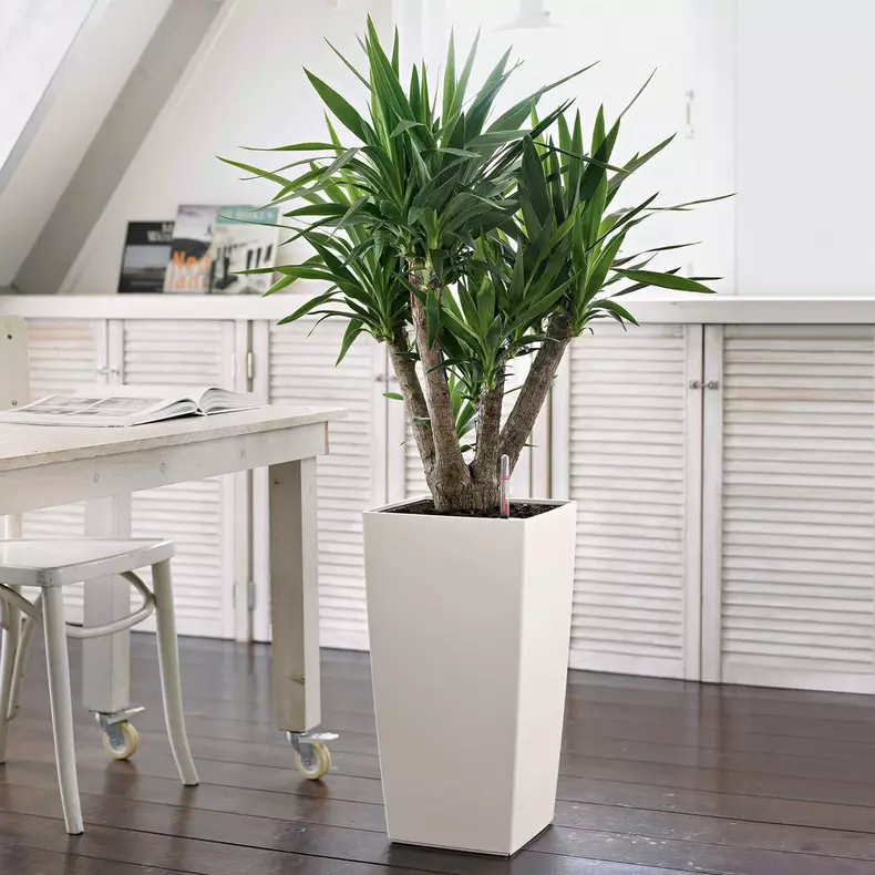 Maceta-autorriego-Lechuza-cubico-29,5-29x5