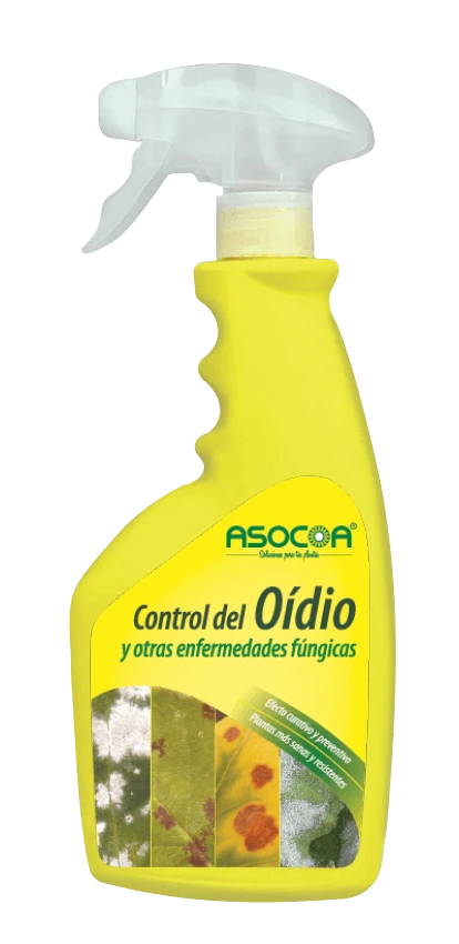 Fungicida-ecológico-Asocoa-elimina-previene-oídio