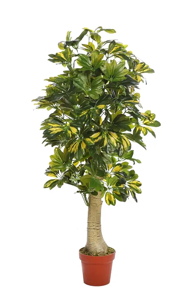 Planta-schefflera-artificial-tronco