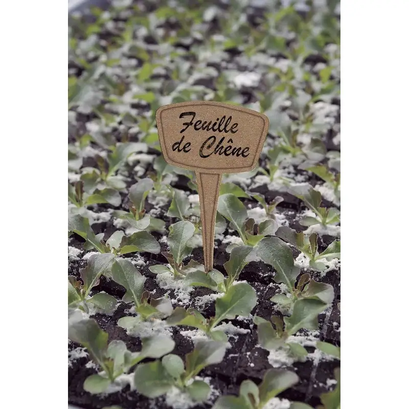 Etiqueta-fibra-para-etiquetar-plantas