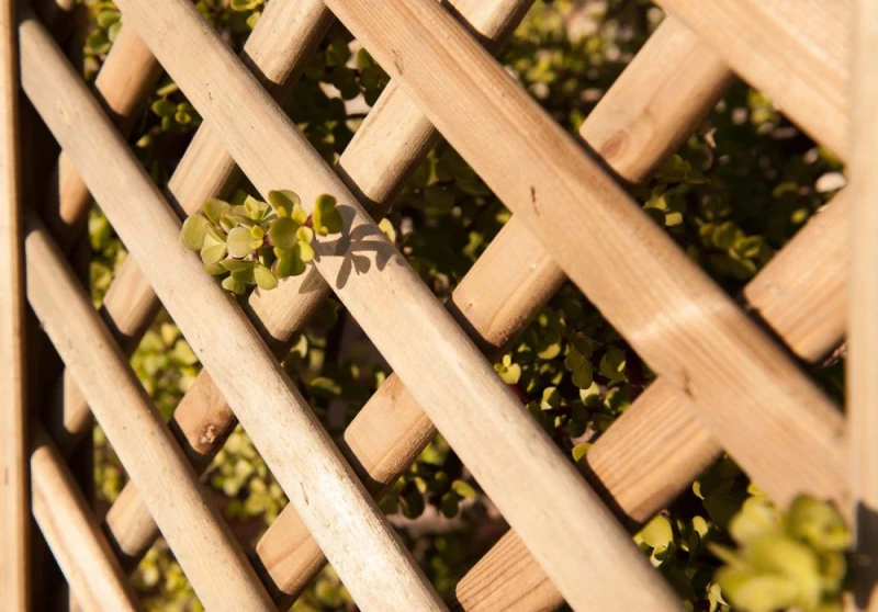 Celosía-recta-madera-para-decorar-plantas-trepadoras