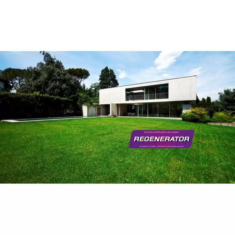 Semillas-césped-para-resiembra-Regenerator