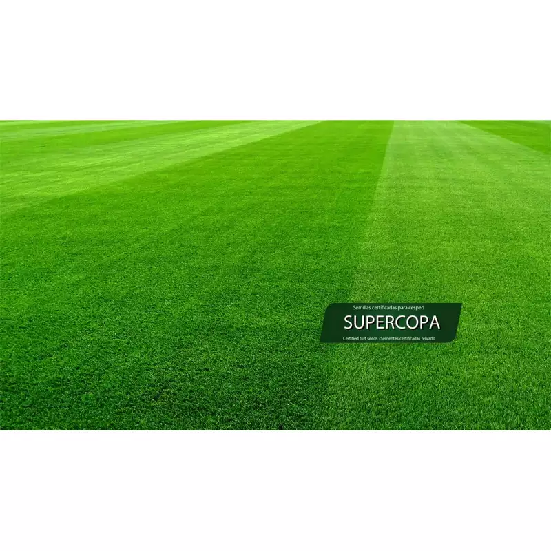 Semillas-para-césped-Supercopa