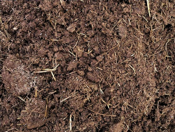 Estiércol-curado-vaca-Abono-natural