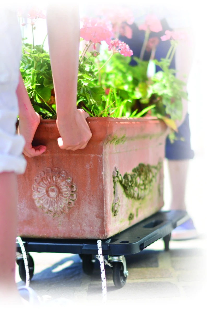 Plataforma-transporte-ruedas-carga-máxima