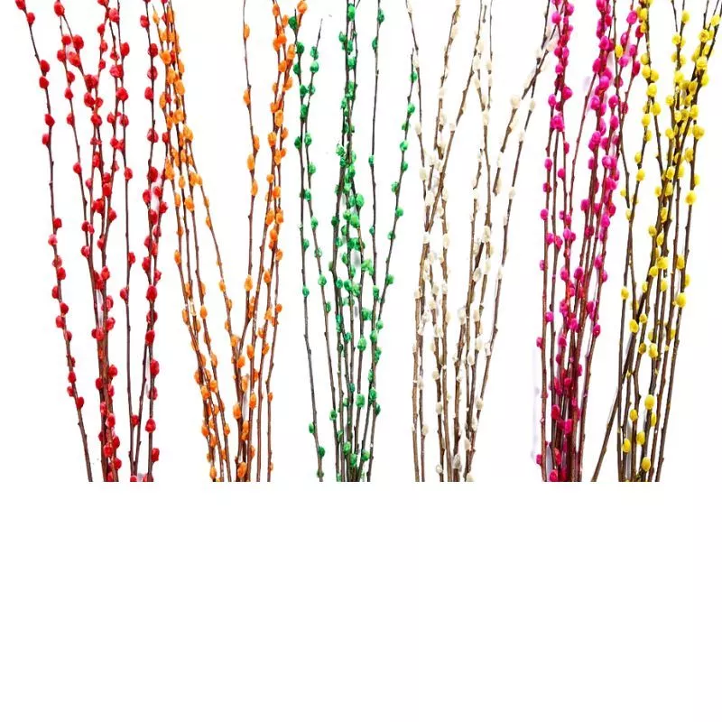 Vara-mimbre-algodón-seca-alto