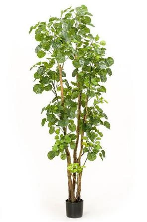 arbol-aralia-artificial-realista