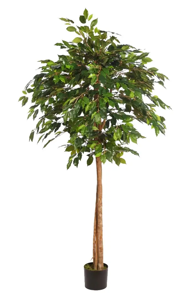 Árbol-ficus-artificial-copa