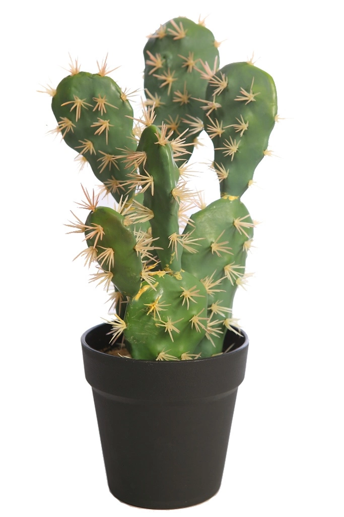Cactus-artificial-Opuntia