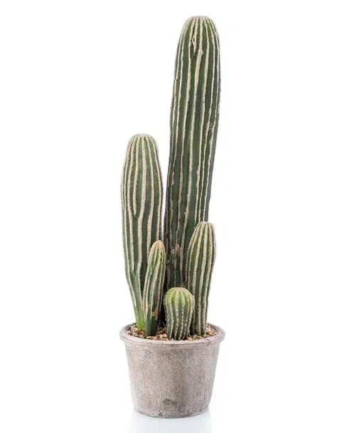 cactus-san-pedro-artificial-57cm