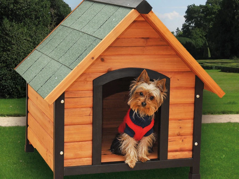 Caseta-perro-madera-tratada-Ideal-jardín-terraza