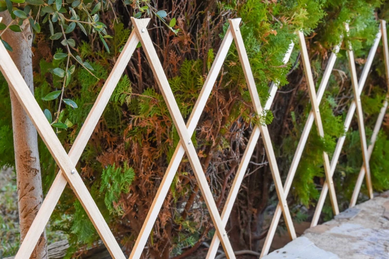 celosia-madera-natural-extensible