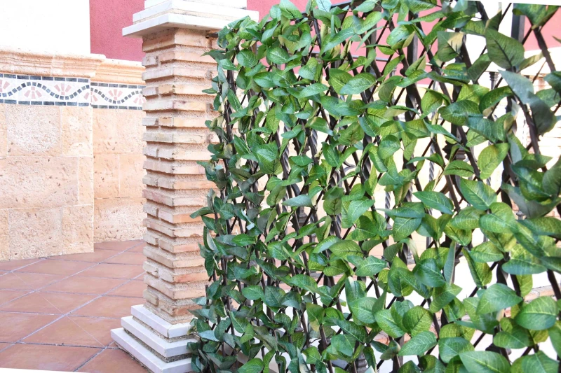 celosia-mimbre-hoja-arce