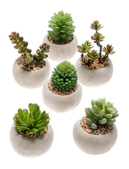 conjunto-12-suculentas-artificiales-cemento