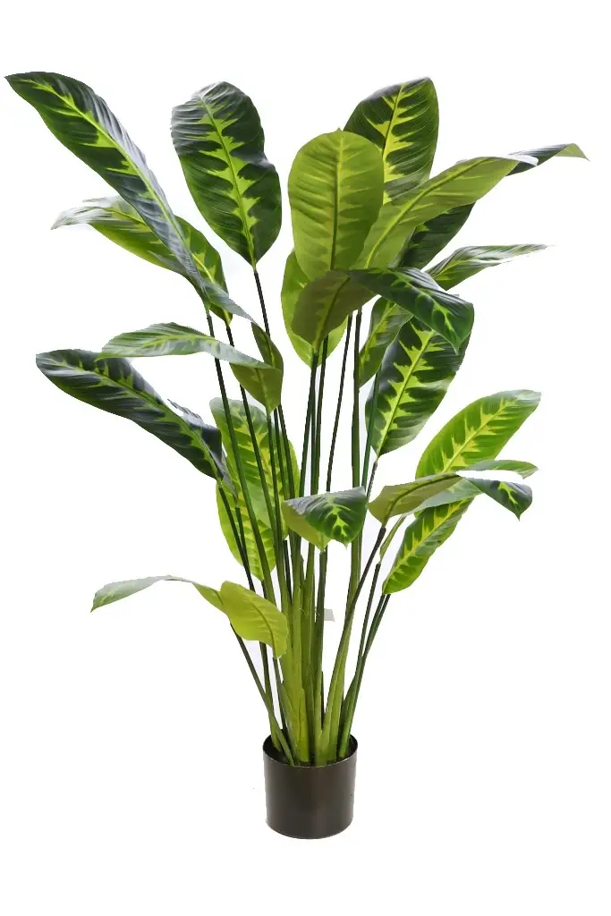 difembachia-artificial-en-maceta