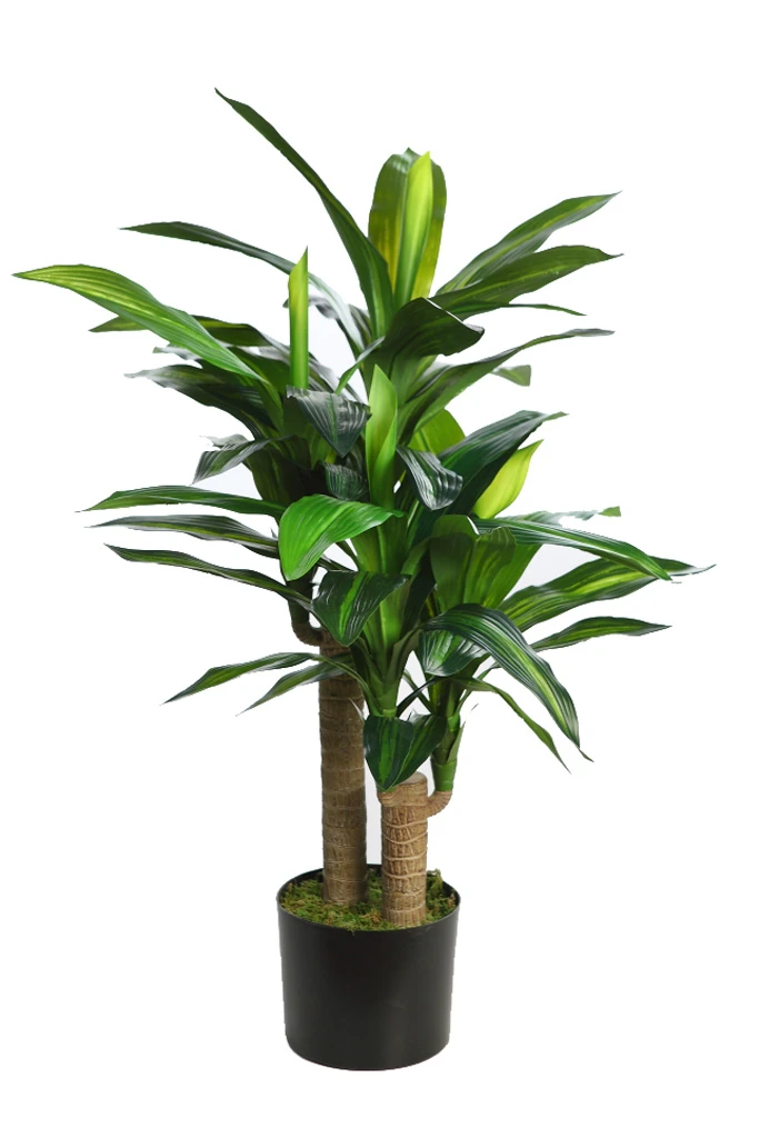 dracena-lemon-artificial-90cm