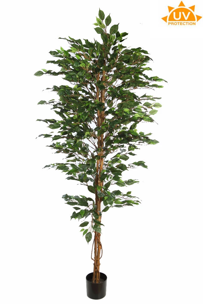 ficus-artificial-uv-210cm