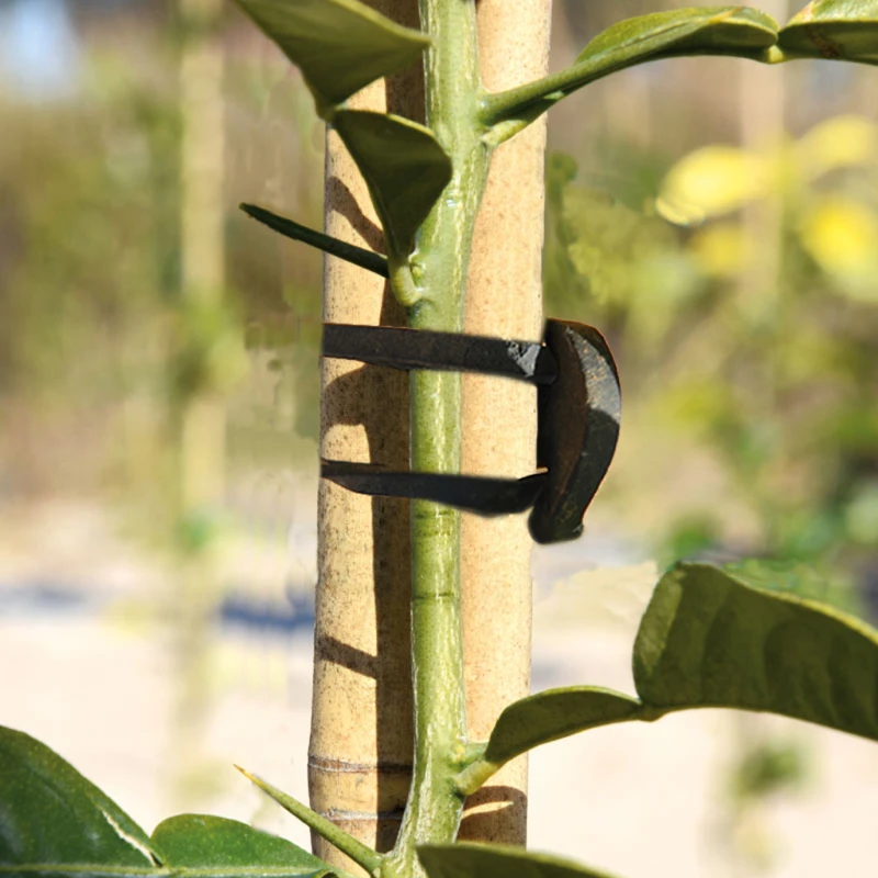 Goma-para-atar-plantas-Sujeta-protege-cultivos