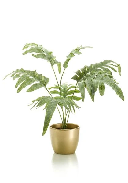 helecho-flebodio-artificial-maceta-dorada