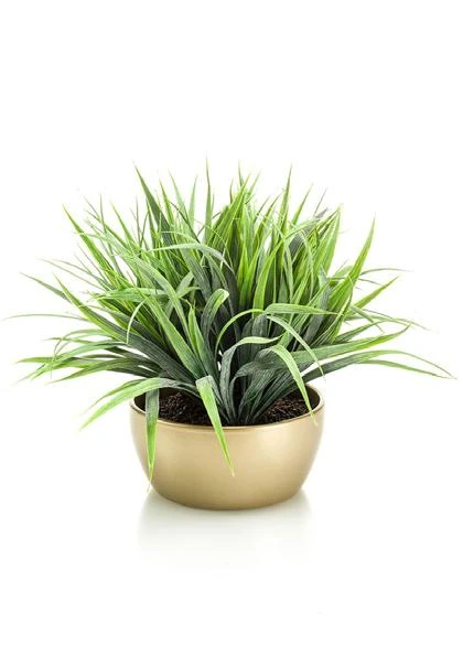 hierba-artificial-gold-cuenco-dorado