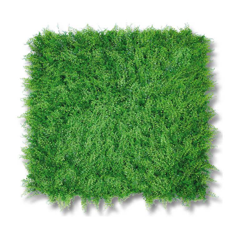 Jardín-vertical-Helecho-1x1m