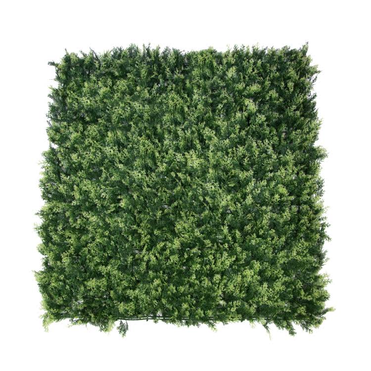 jardin-vertical-thuya-1x1