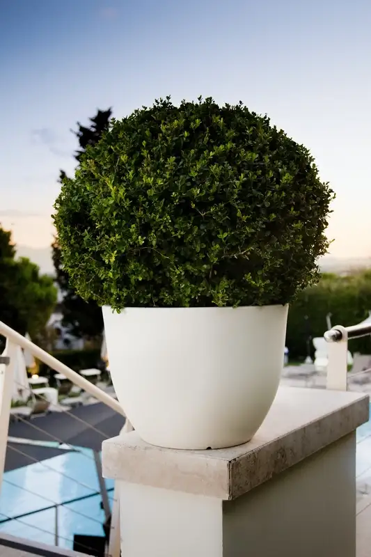 jardinera-orione-30x22cm