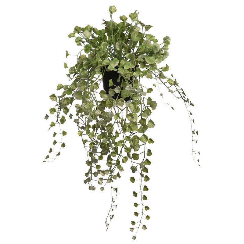 Maceta-dichondra-artificial-colgante-altura