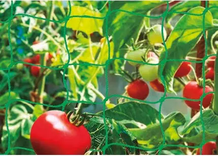 Malla-Antipájaros-Protección-Efectiva-Contra-Aves-Frutales-Ornamentales