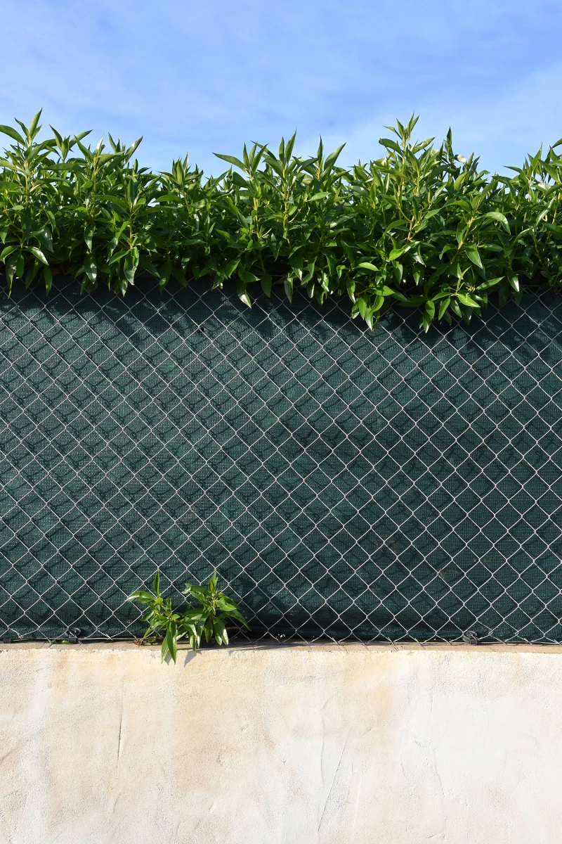 Malla-ocultación-verde-160g-para-jardín,-terraza-balcón