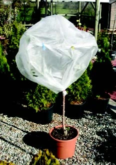 manta-termica-antiheladas-para-plantas-cultivos