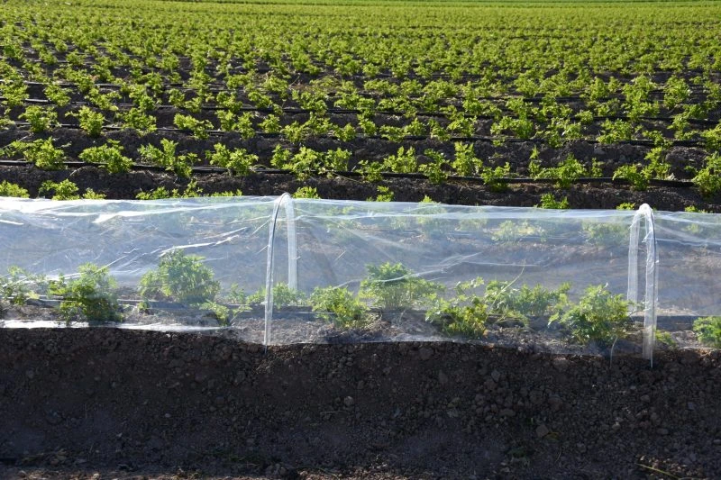 mini-invernadero-extensible-para-huerto-jardin-medida-400x120