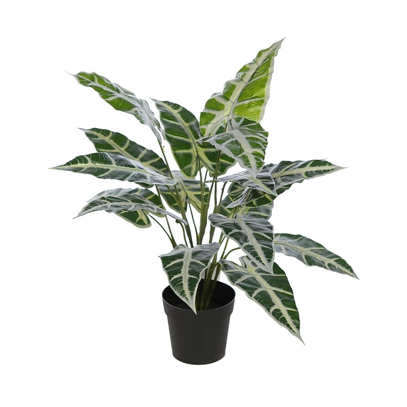 planta-alocasia-sanderiana-artificial-maceta-incluida