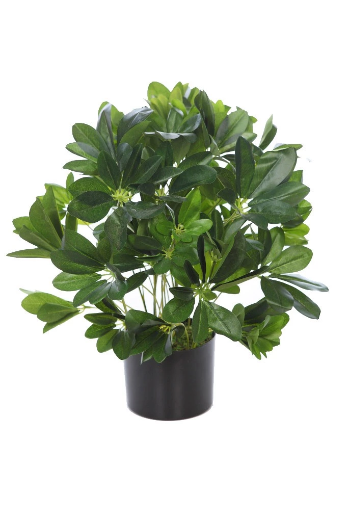 Planta-artificial-Schefflera