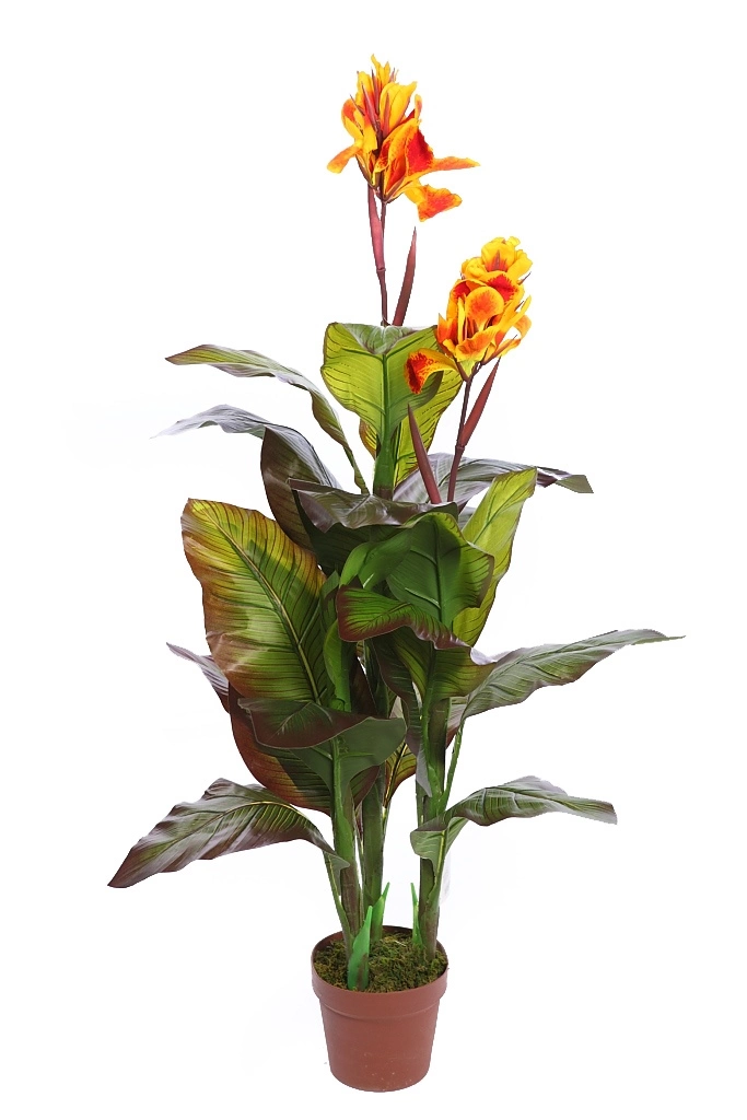 planta-cana-artificial-120cm