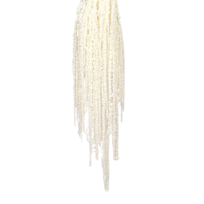 Planta-colgante-amaranthus-preservado